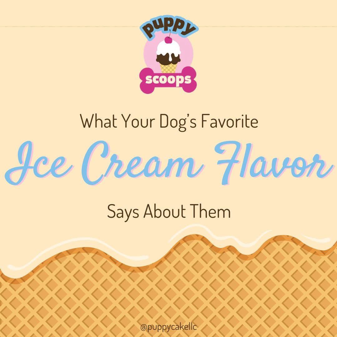 寵物雪糕 Ice Cream for Pet