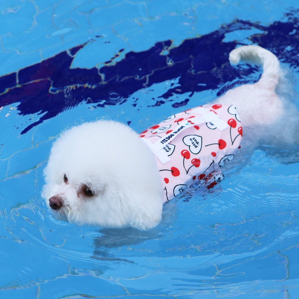 itsdog 夏日櫻桃救生衣 Cherry Lifejacket
