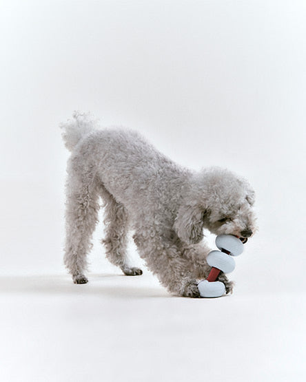 Roika 串燒益智藏食玩具 Dango Toy Misty Blue