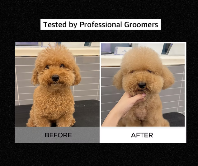 RENADOG Volumizing Shampoo 櫻花豐盈香波髮露 300ml