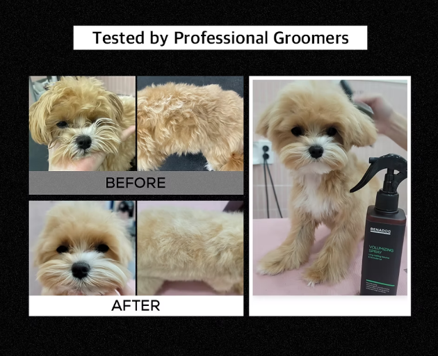 RENADOG Volumizing Mist 櫻花蓬鬆噴霧 240ml