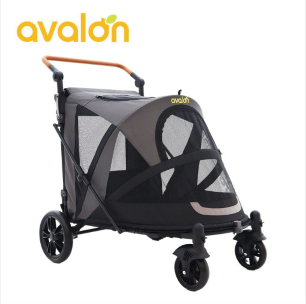 Avalon double hot sale stroller