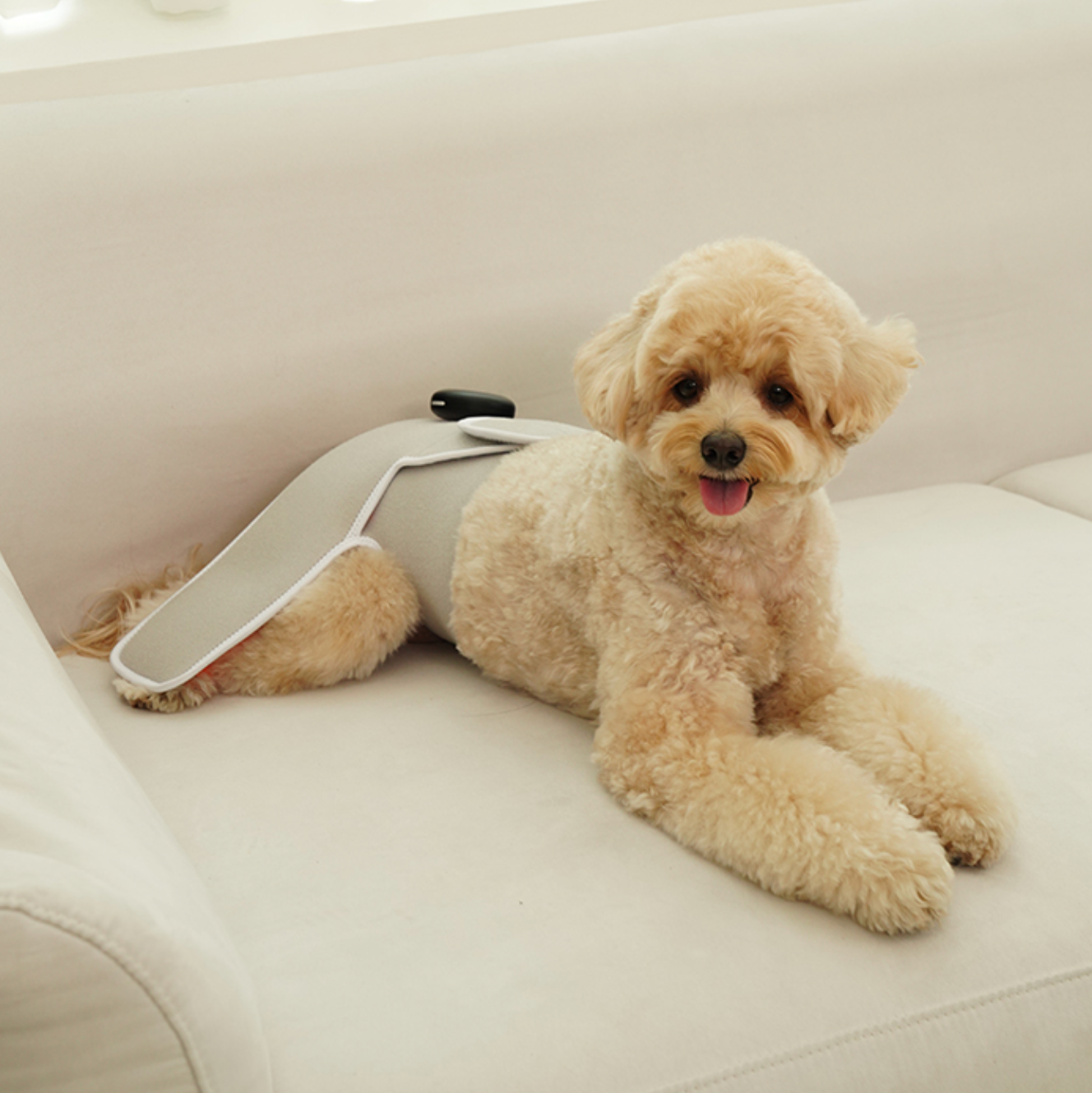 Cirius Pet LLLT Warm Cape Pro 無線紅外線髖關節保養毯 加長款