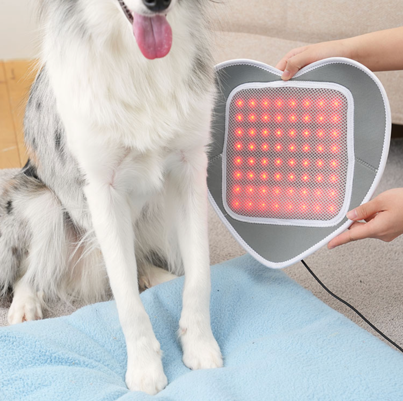 Cirius Pet Warm Pad 無線紅外線髖關節保養毯 心心款