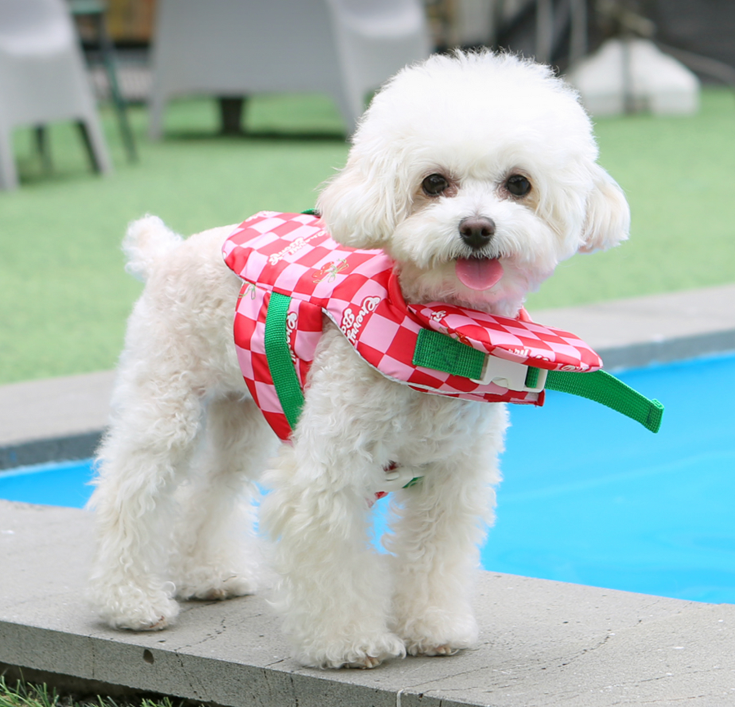 Itsdog 繽紛寵物救生衣 紅格 Ice popping Life Jacket Pink