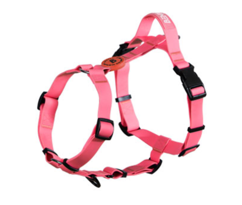 【香港代理】Bentla 防水胸帶 Waterproof Harness