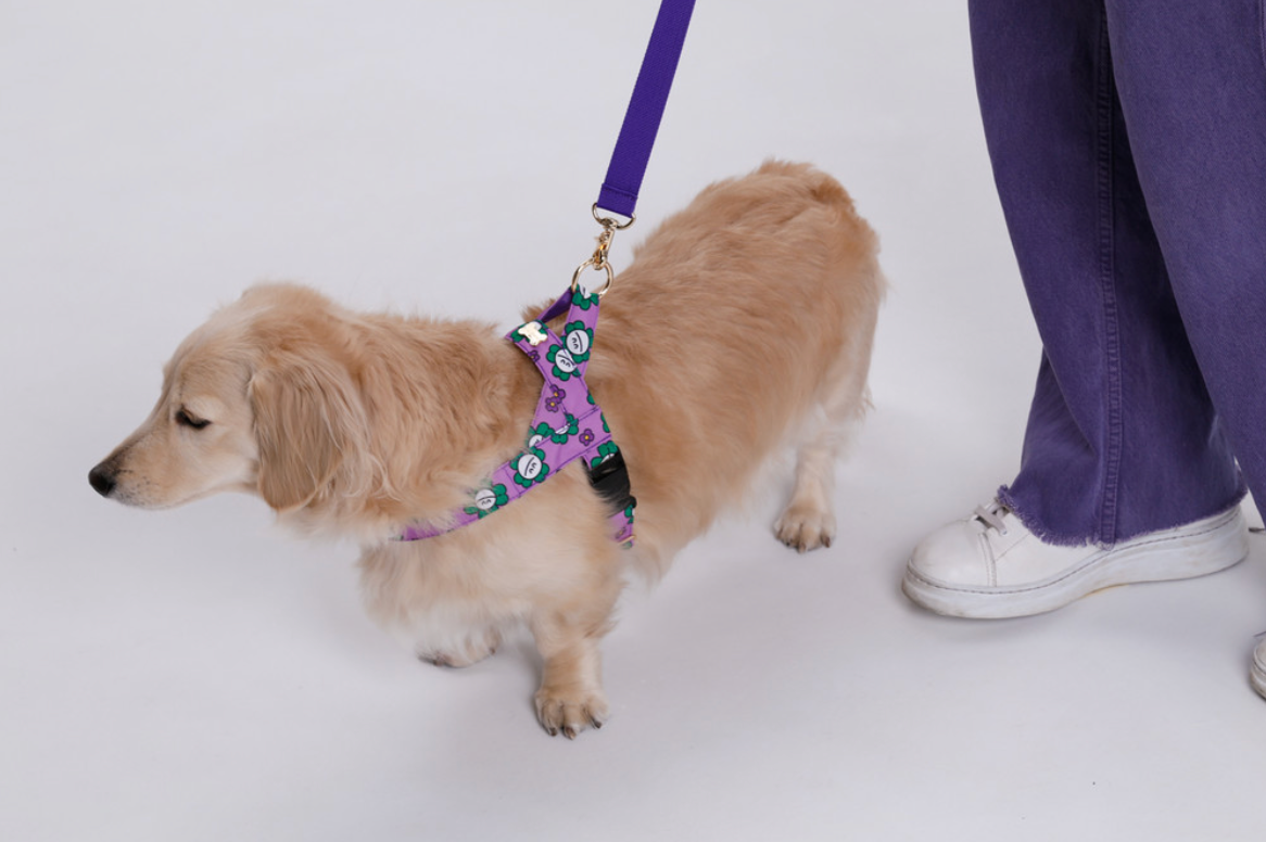 NORADOG 拼色手牽繩 1.7m Hand Leash