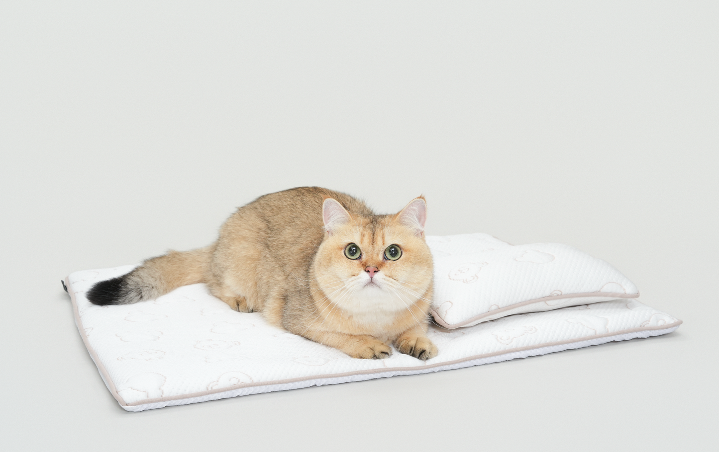 TeddyLand Ultimate cool mattress with pillow 極涼感床墊組合