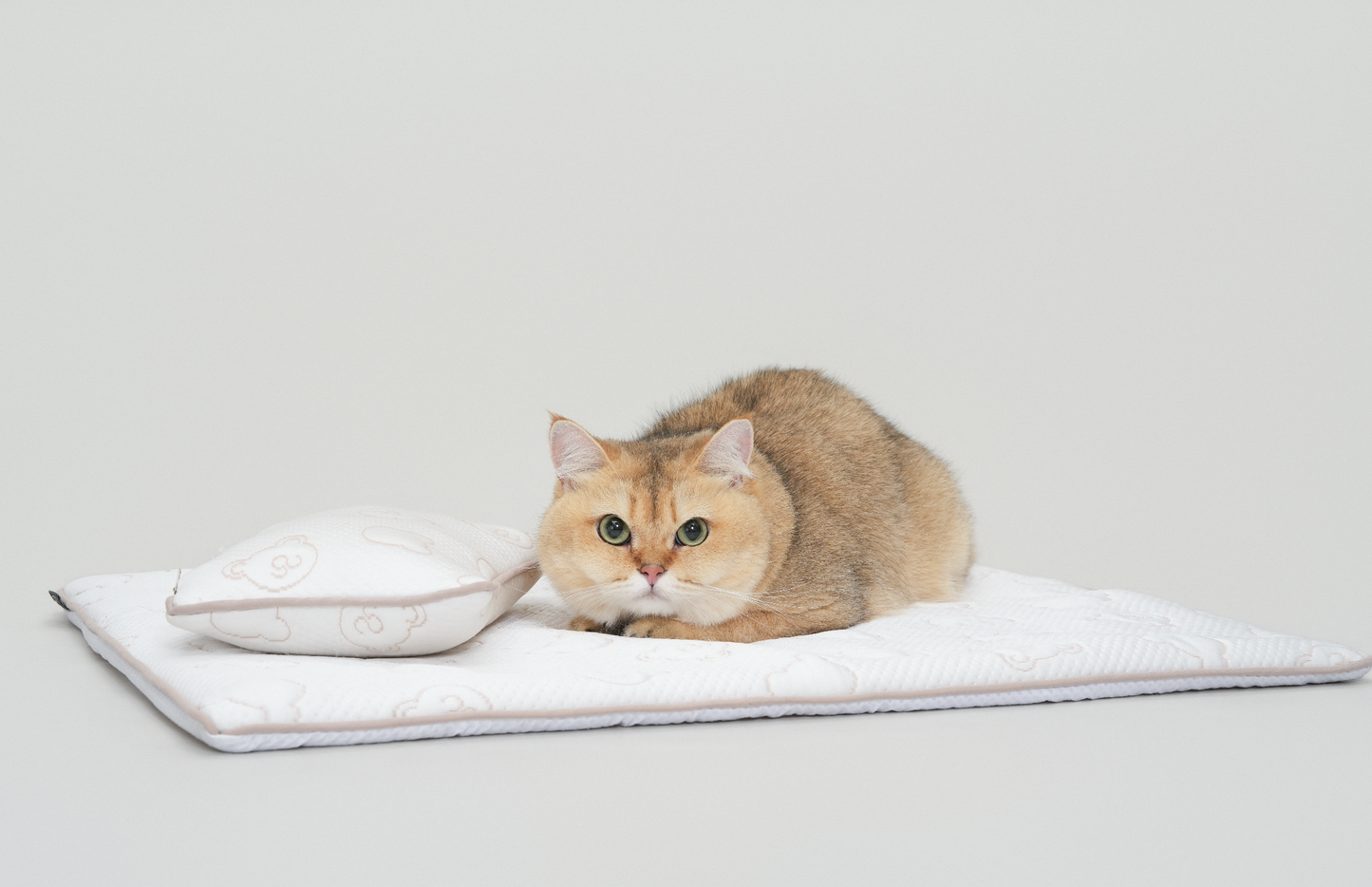 TeddyLand Ultimate cool mattress with pillow 極涼感床墊組合