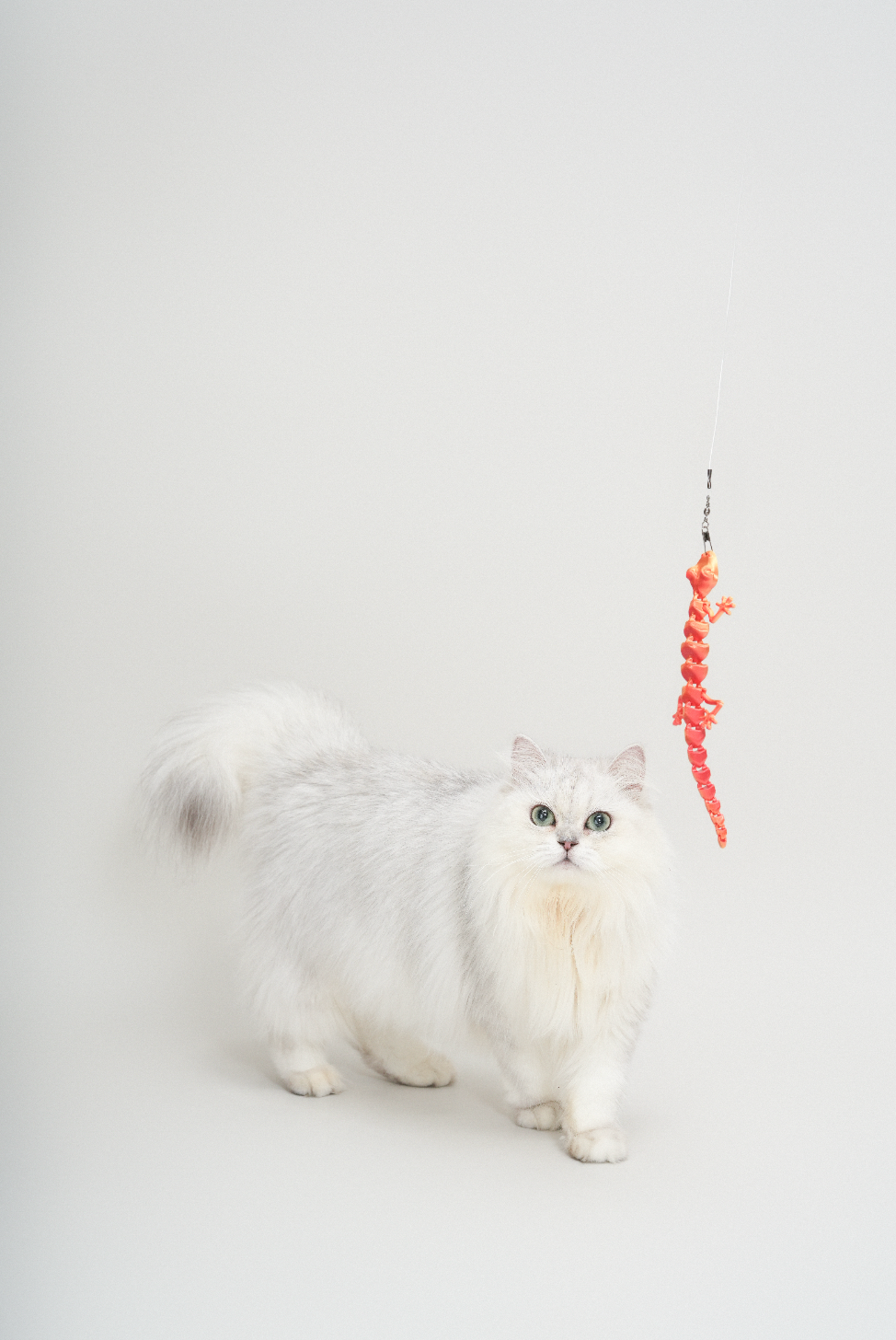 TeddyLand 泰國蜥蜴逗貓棒 lizard cat toy