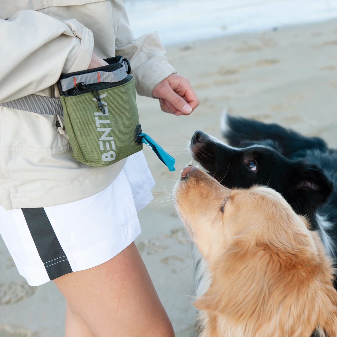 【香港代理】Bentla Hire Treat Bag 便利零食袋