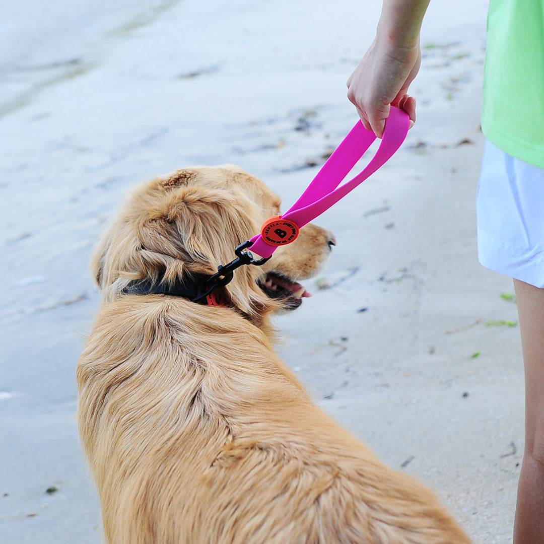 【香港代理】Bentla Aqua Short Leash 防水短牽帶