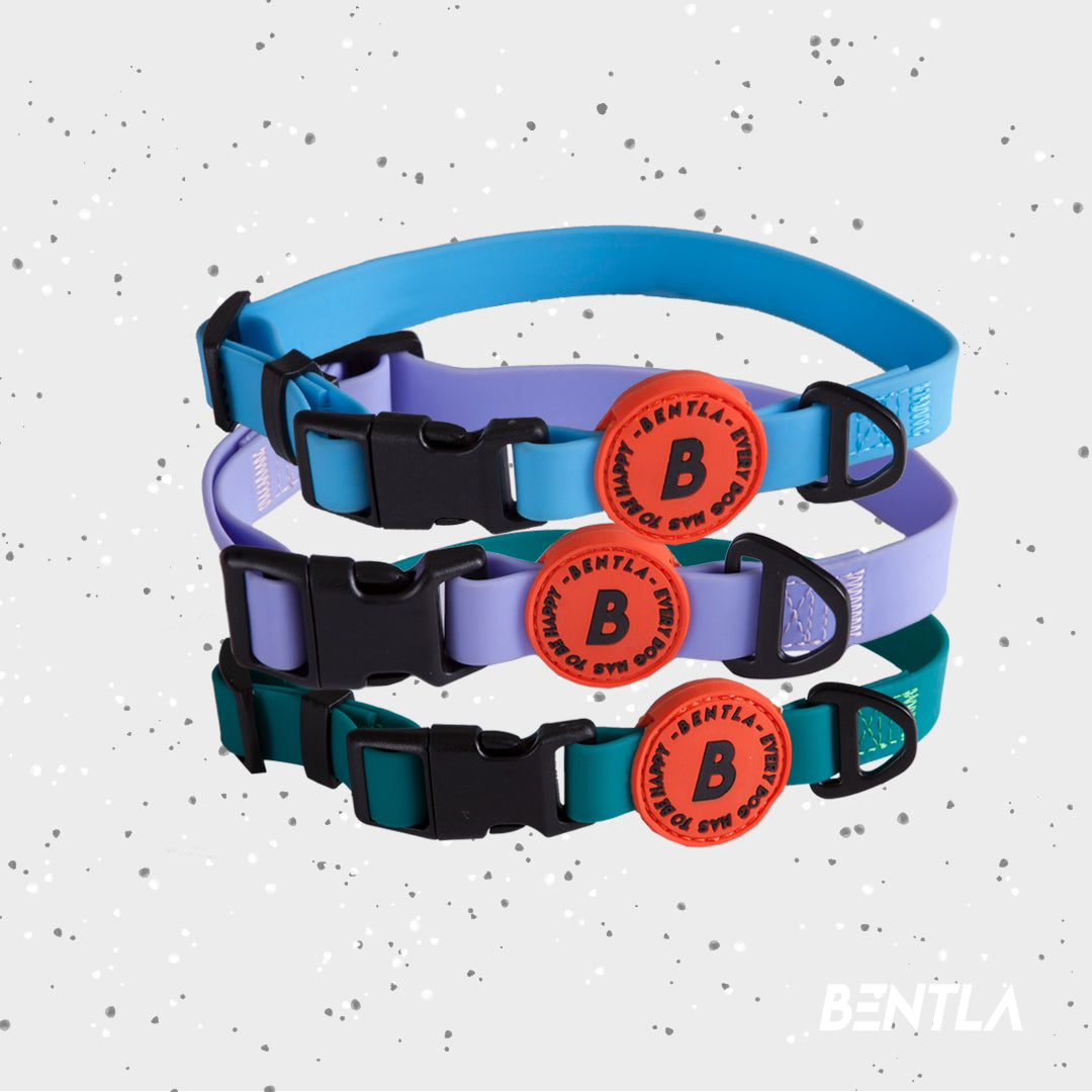 【香港代理】Bentla Aqua Collar 防水頸圈