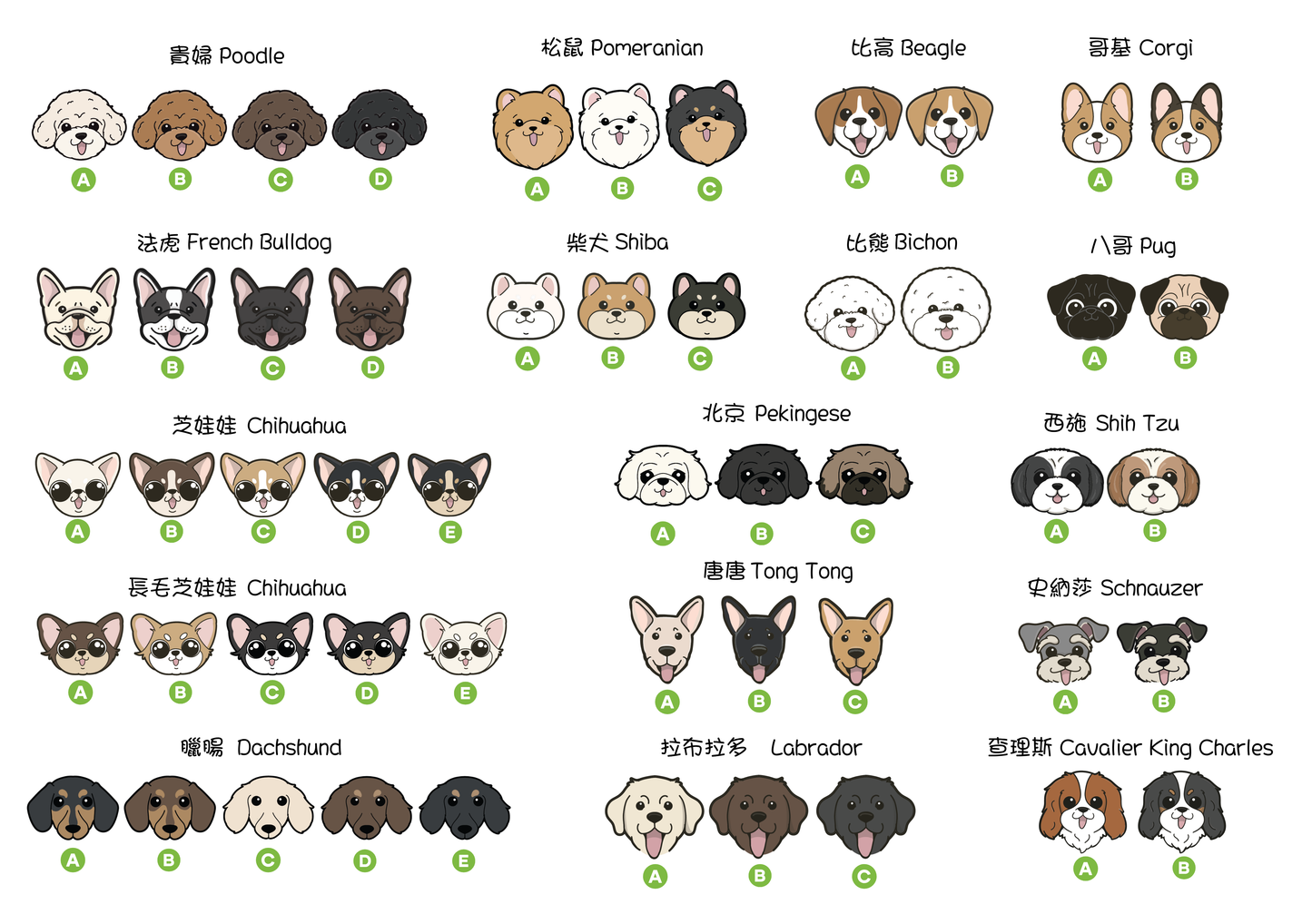 Pet Pet Homies x Pawsomeisland 客製化「Find My Human」寵物鎖匙扣