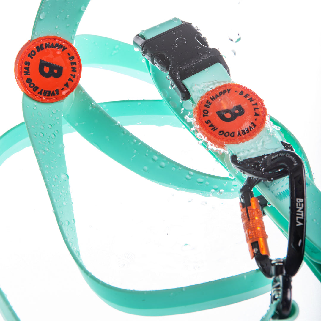 【香港代理】Bentla Aqua Long Leash 2.7M 防水長牽繩