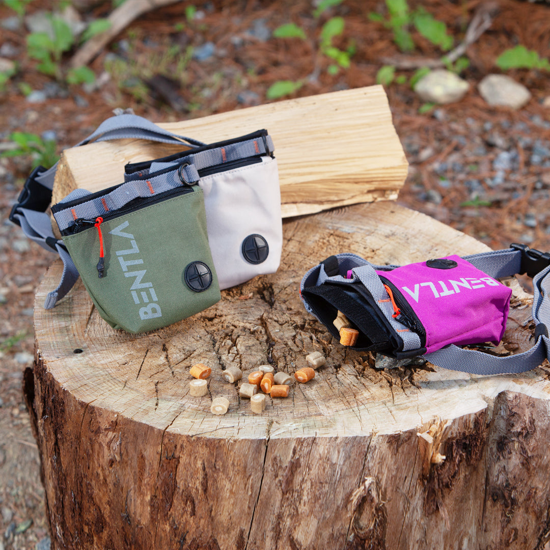 【香港代理】Bentla Hire Treat Bag 便利零食袋