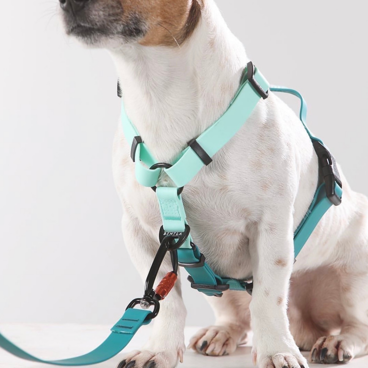 Bentla 防水胸帶 Waterproof Harness