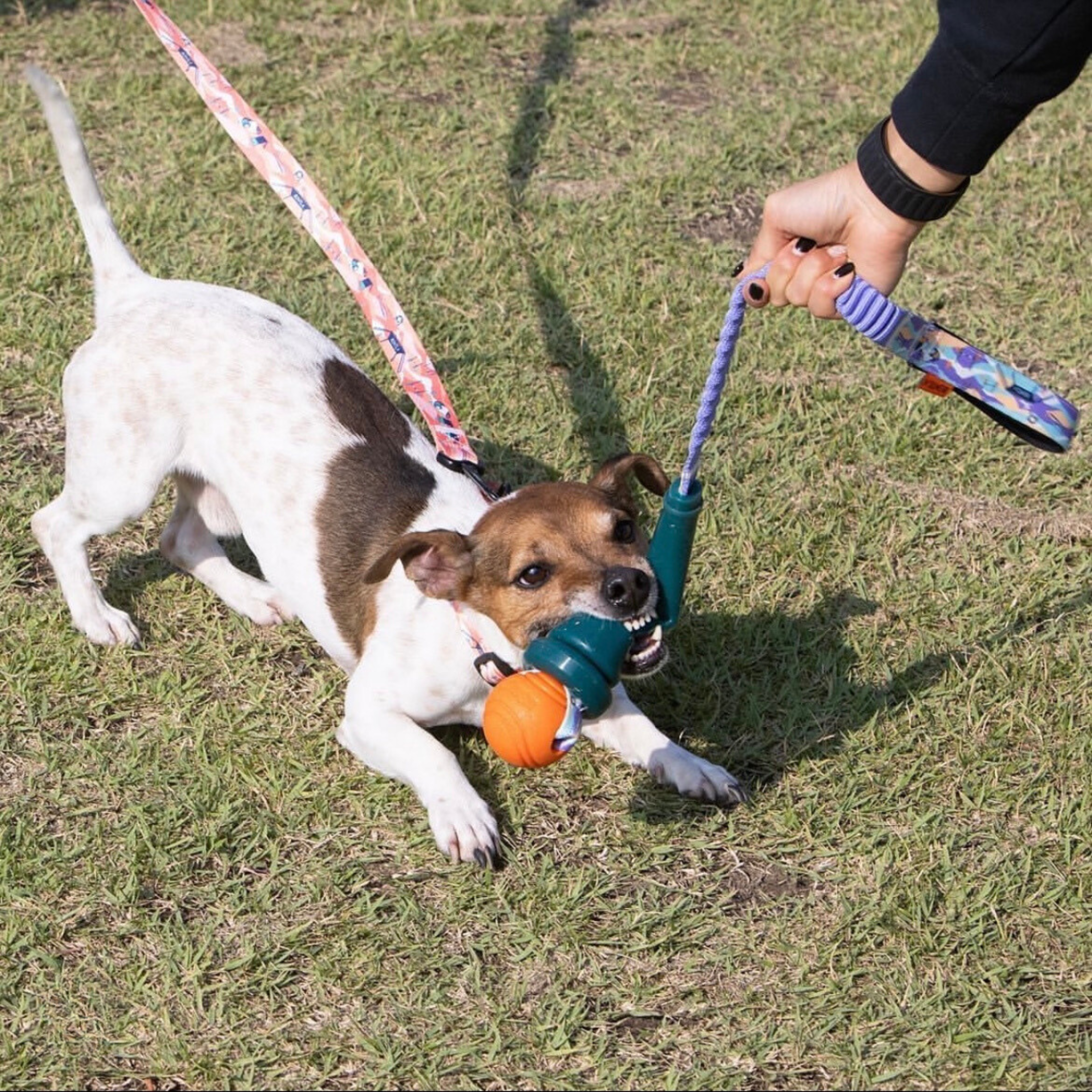 【香港代理】Bentla 麥克風拉扯玩具 Microphone Rope Toy