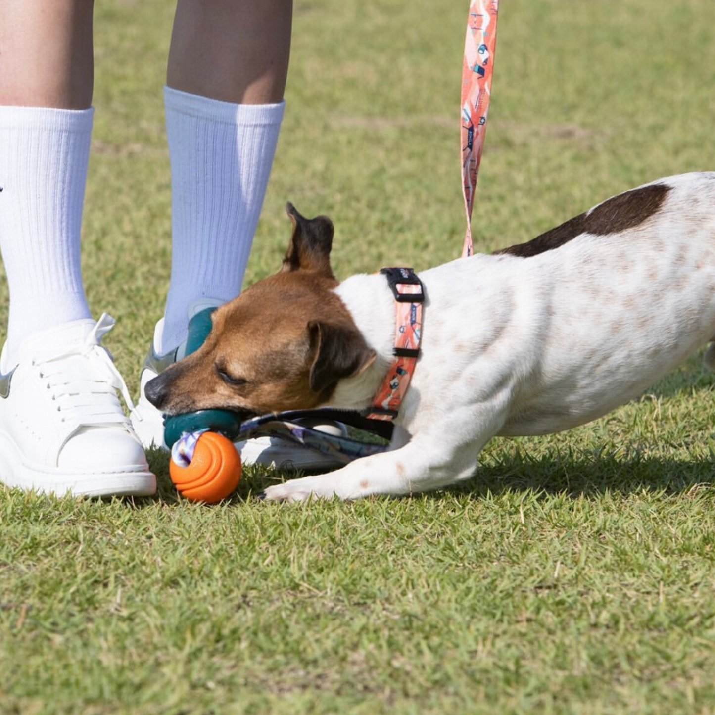 Bentla 麥克風拉扯玩具 Microphone Rope Toy