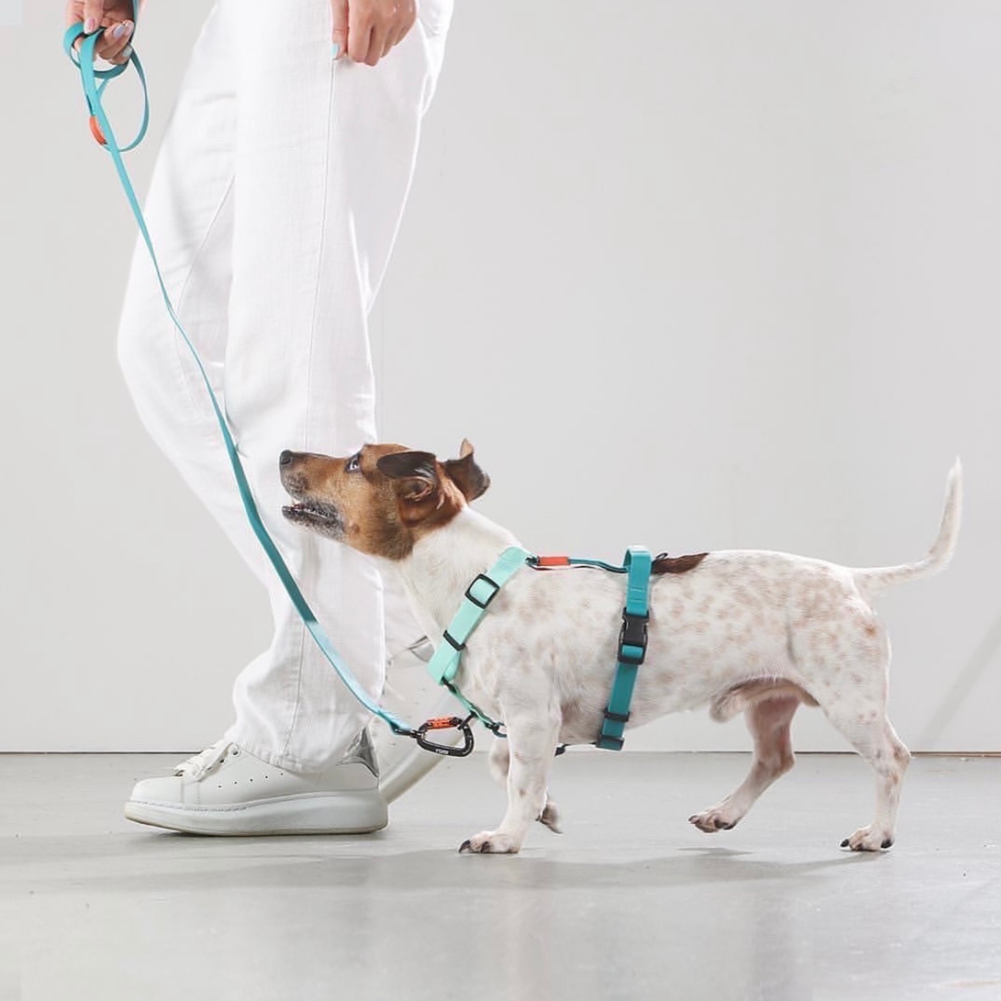 【香港代理】Bentla 防水胸帶 Waterproof Harness