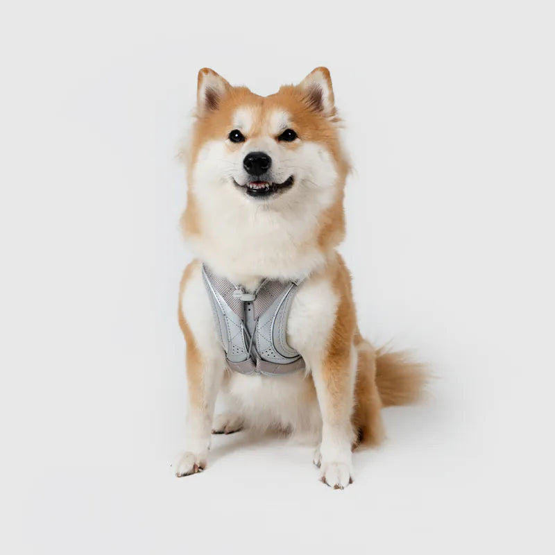 Sputnik Ultra Explore 終極胸背帶 - 灰