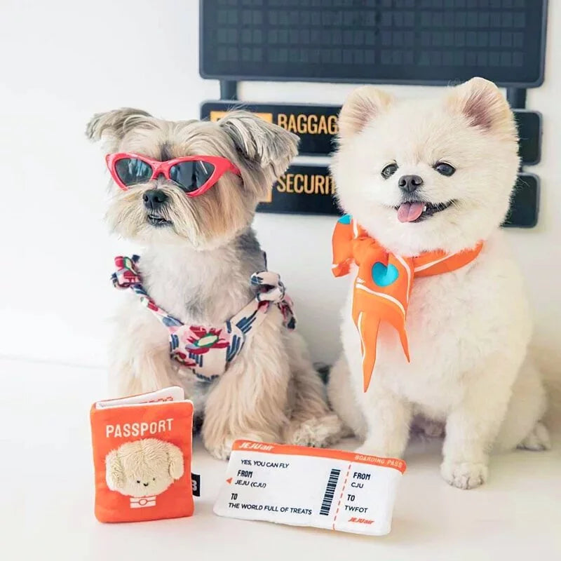 BITEME x Jeju air - 機票&護照藏食玩具 Boardingpass & Passport Toy