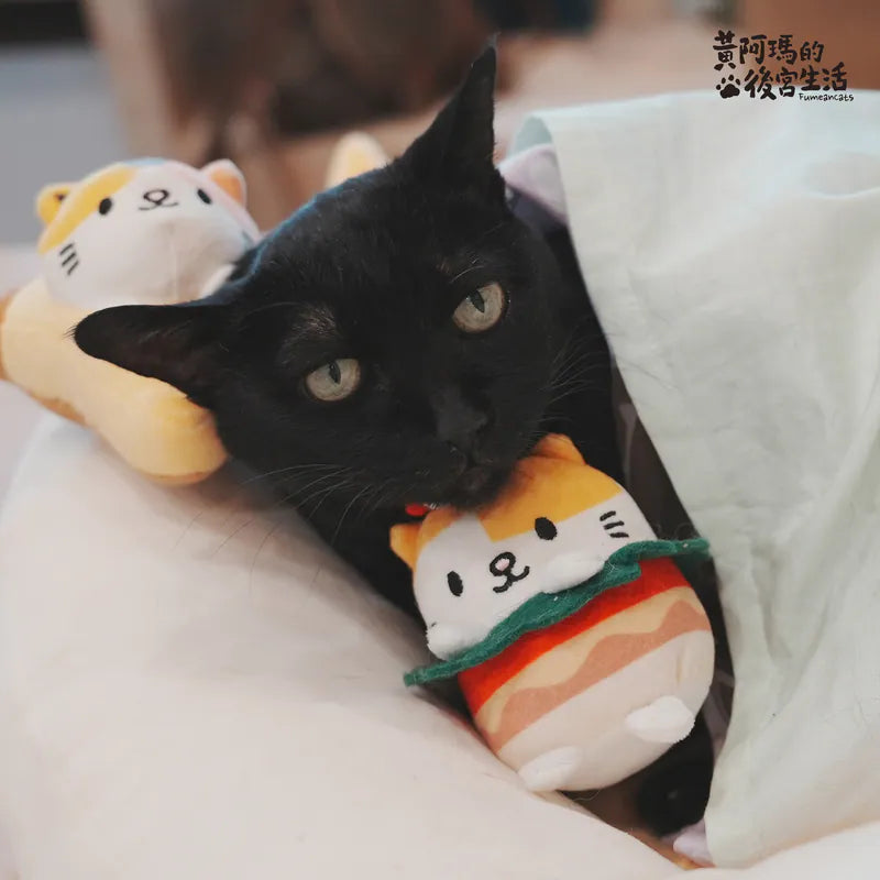 黃阿瑪 美式大餐特濃高級貓草玩具盲盒