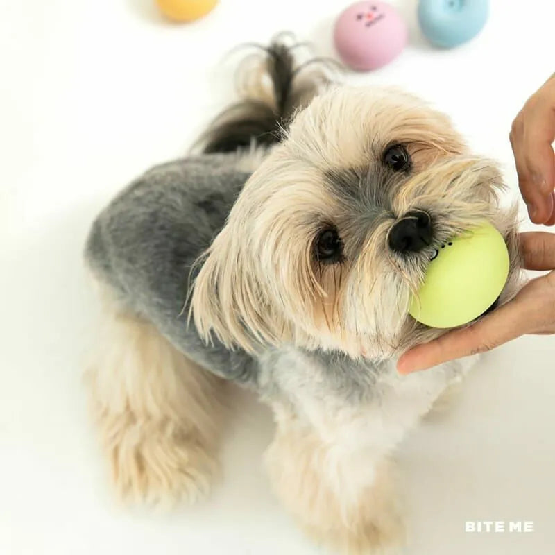 BITEME 表情乳膠玩具 Friends Latex Toy