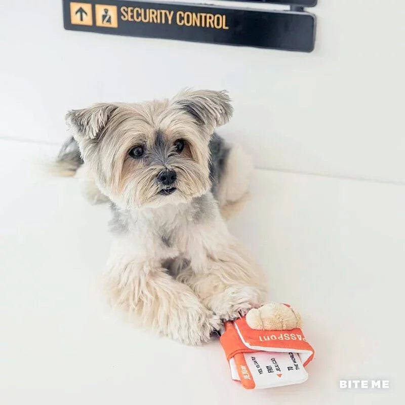 BITEME x Jeju air - 機票&護照藏食玩具 Boardingpass & Passport Toy