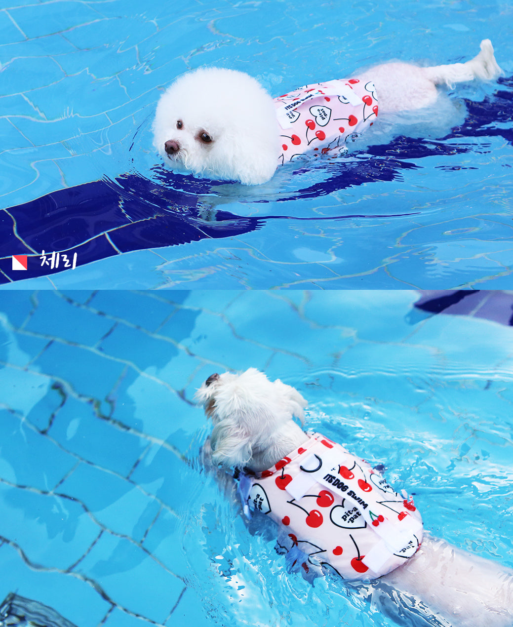 itsdog 夏日櫻桃救生衣 Cherry Lifejacket