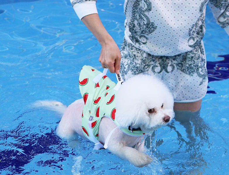itsdog 夏日櫻桃救生衣 Cherry Lifejacket