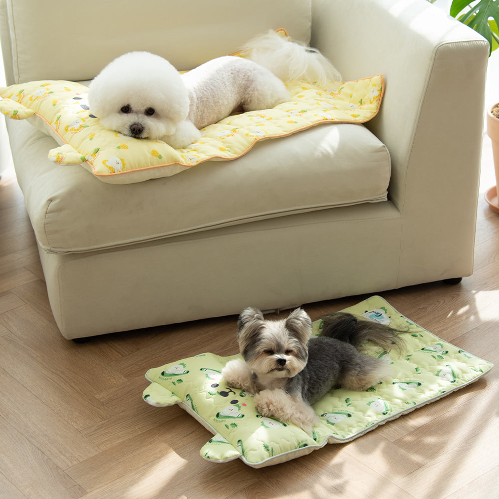 Ritogato 寵物涼感墊連枕頭 Icebear Coolmat with Pillow (菠蘿)