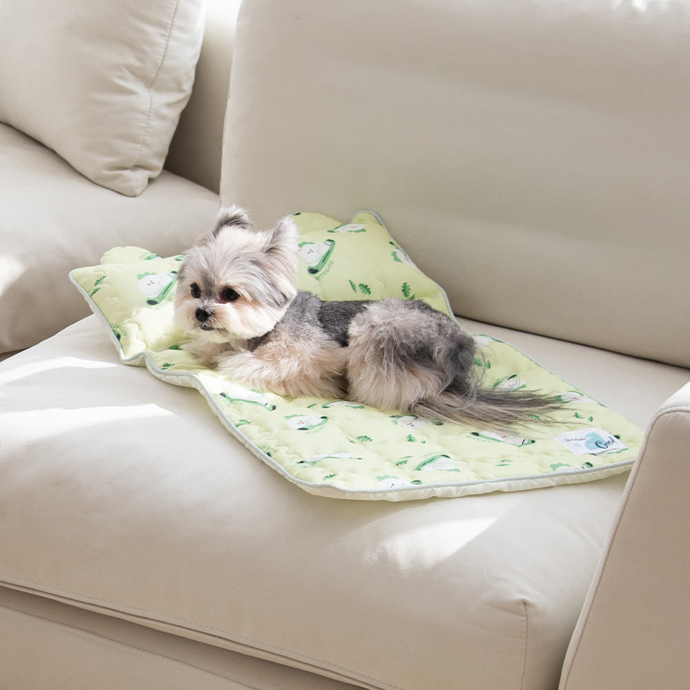 【預訂產品】Ritogato 寵物涼感墊連枕頭 Icebear Coolmat with Pillow (衝浪板熊)