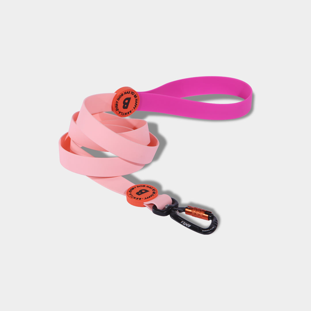 【香港代理】Bentla Aqua Two-coloured Leash 防水雙色狗帶 1.5m