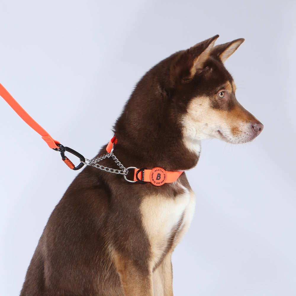 【香港代理】Bentla Aqua Half Chain Collar 防水半鐵鍊頸圈