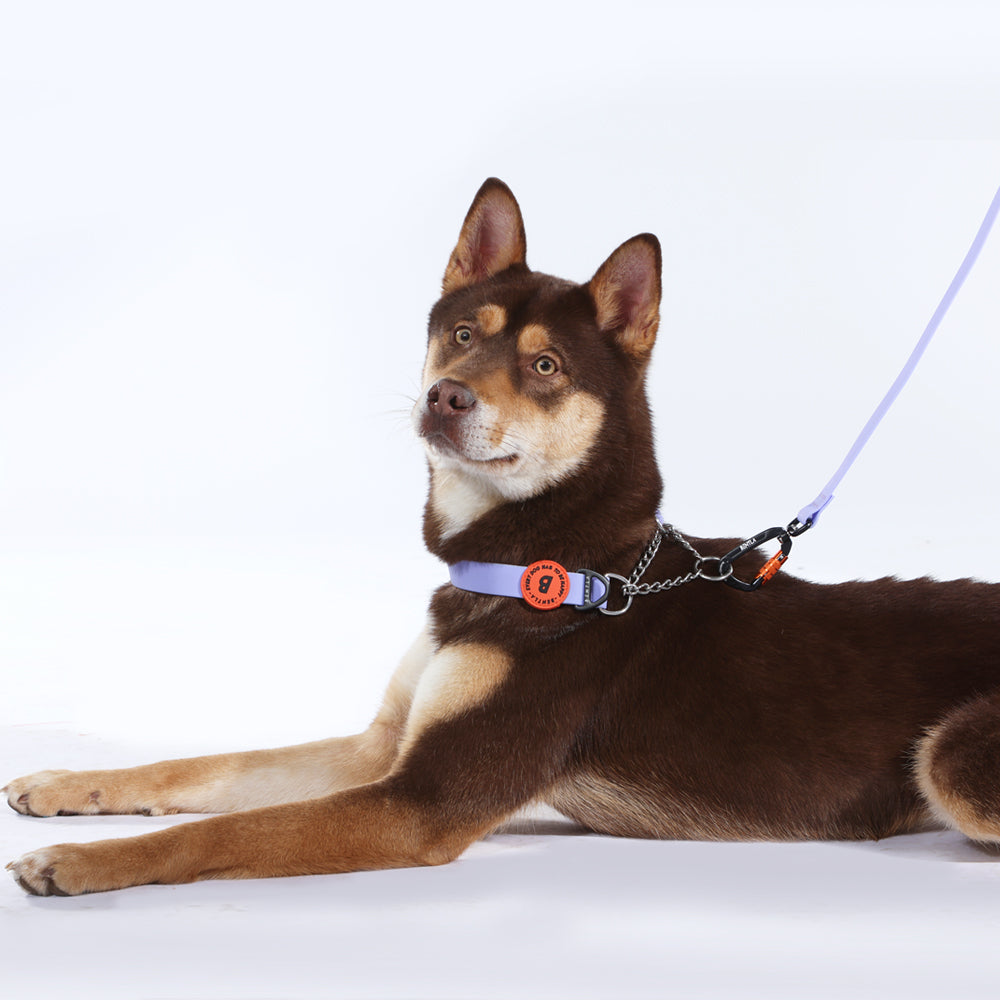 【香港代理】Bentla Aqua Half Chain Collar 防水半鐵鍊頸圈