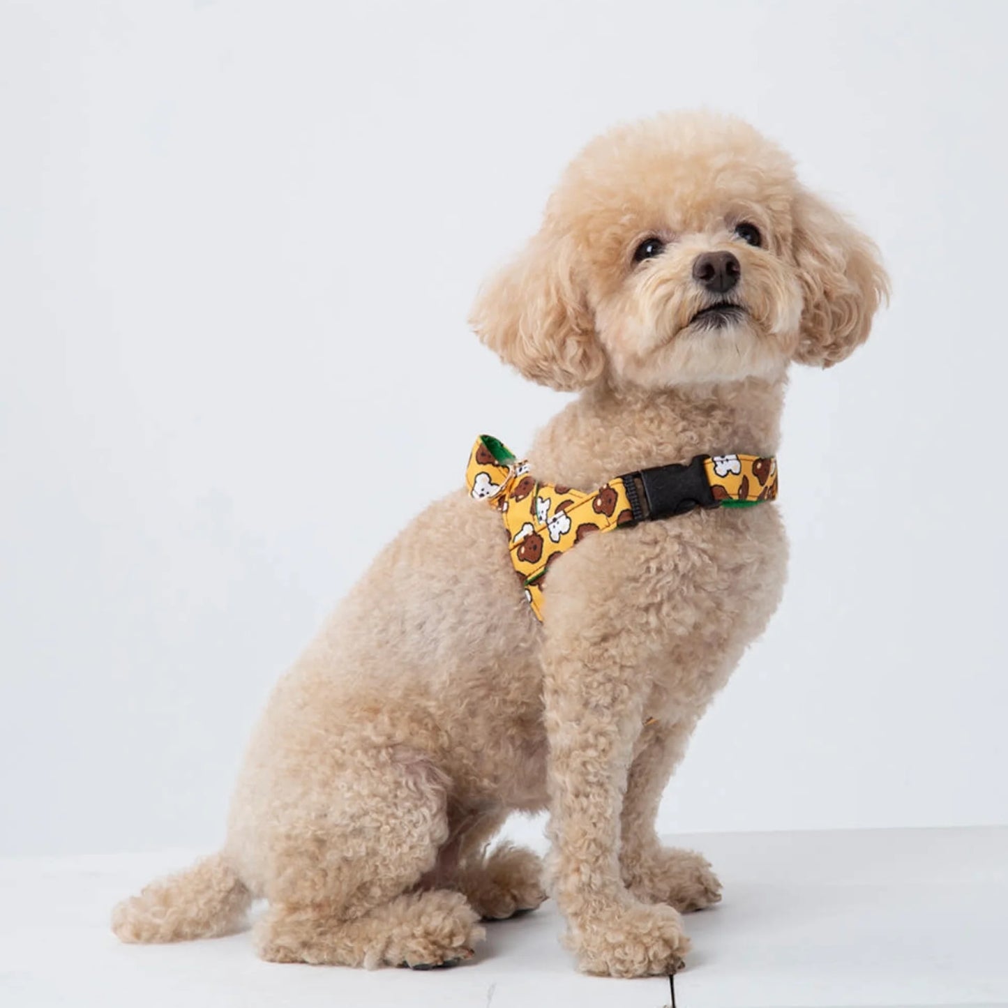 NORADOG 快穿式胸背帶 Easy Harness (S - 3XL)