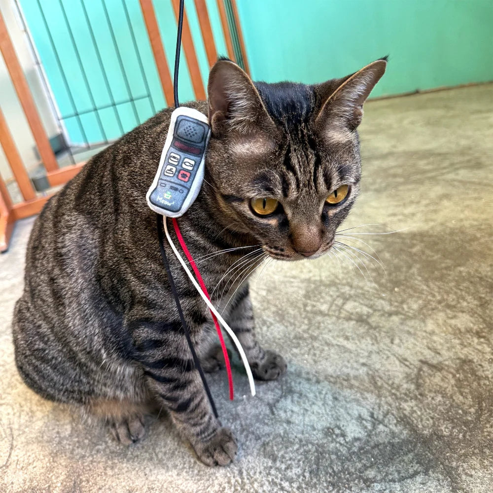 Meow² 懷舊大哥大電話逗貓棒