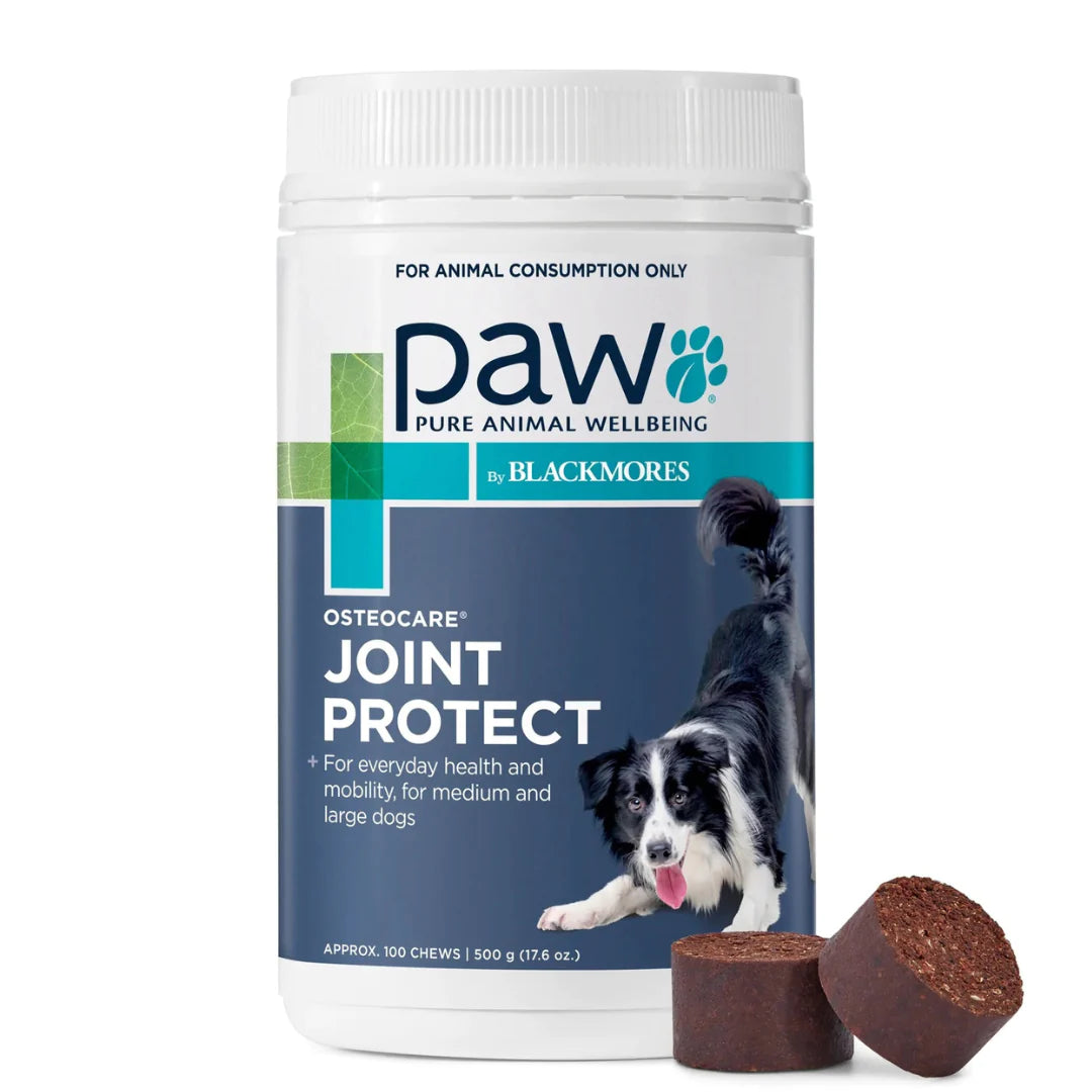 Blackmore 三文魚關節肉粒 Osteocare Joint Health Chew 100粒裝