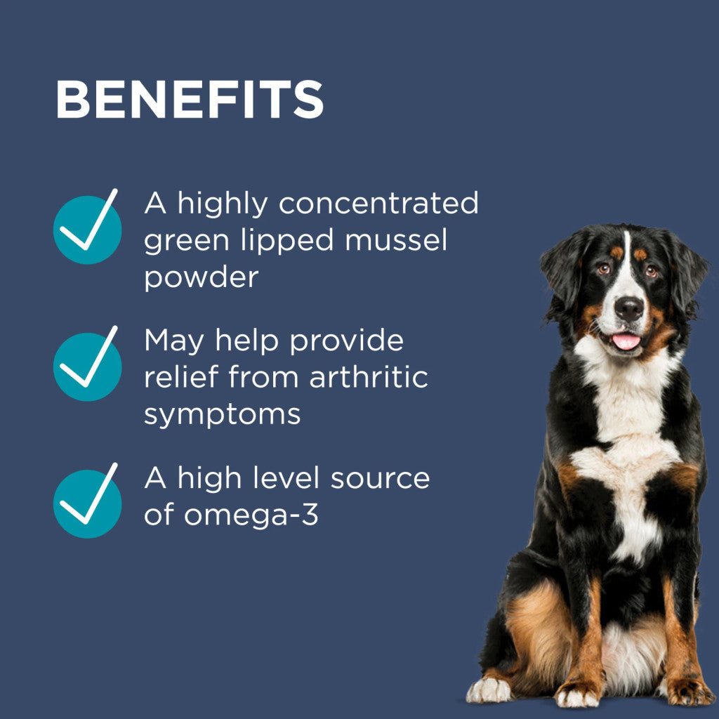 Blackmore 三文魚關節肉粒 Osteocare Joint Health Chew 100粒裝