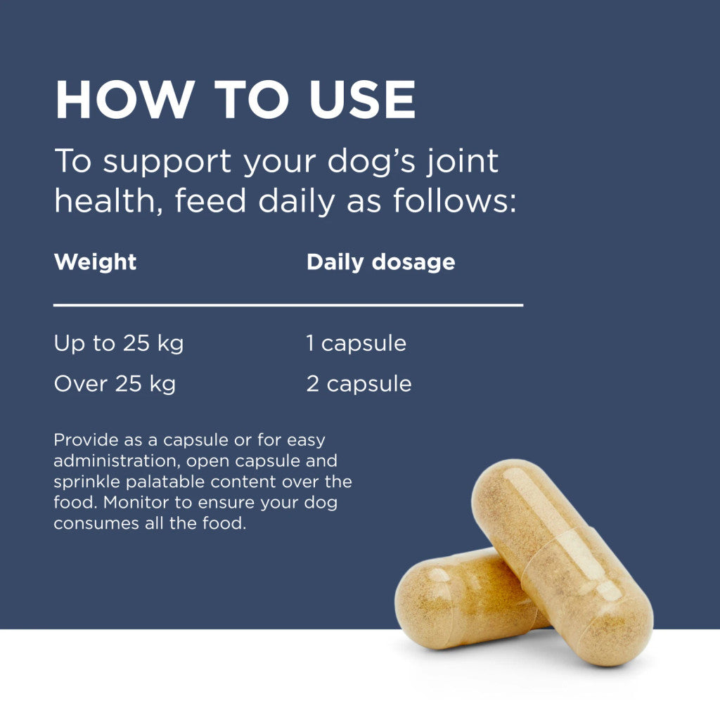 Blackmore 三文魚關節肉粒 Osteocare Joint Health Chew 100粒裝