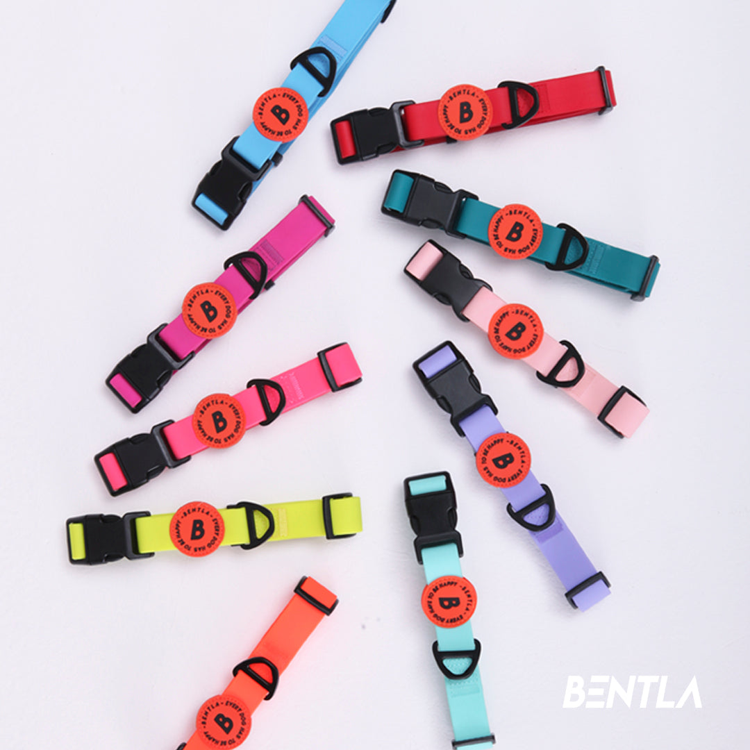【香港代理】Bentla Aqua Collar 防水頸圈