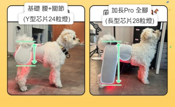 Cirius Pet LLLT Warm Cape 無線紅外線髖關節保養毯 基本款