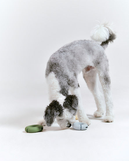 Roika 冬甩益智藏食玩具 GORI Toy Olive Green