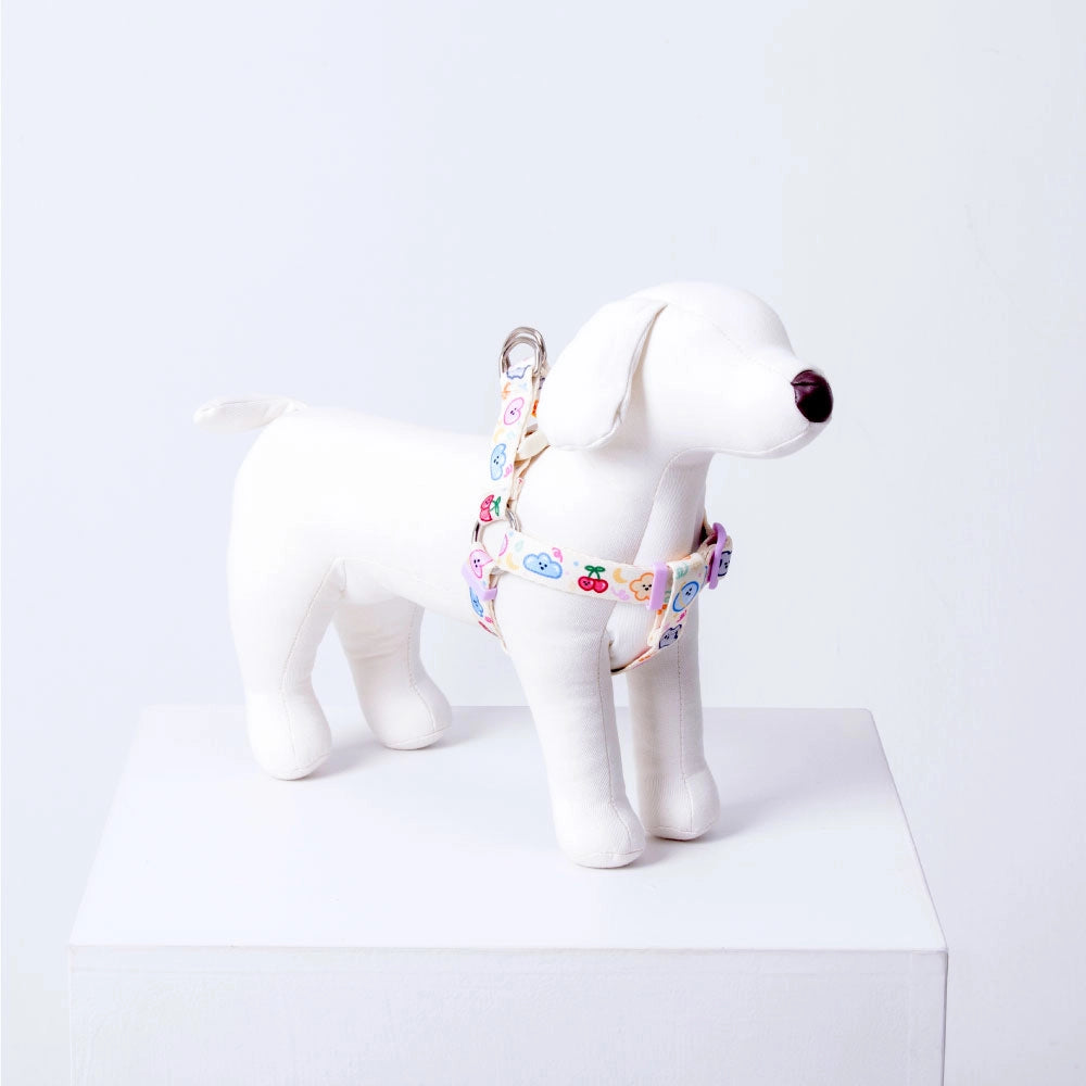 IMSUSU 車厘子Y型胸背帶 Malrang Y Harness