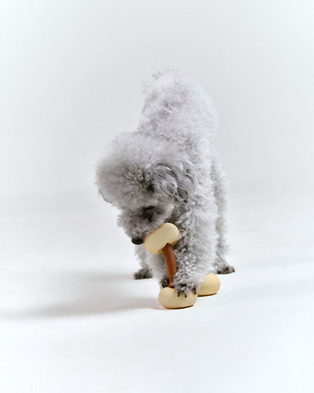 Roika 串燒益智藏食玩具 Dango Toy Butter yellow