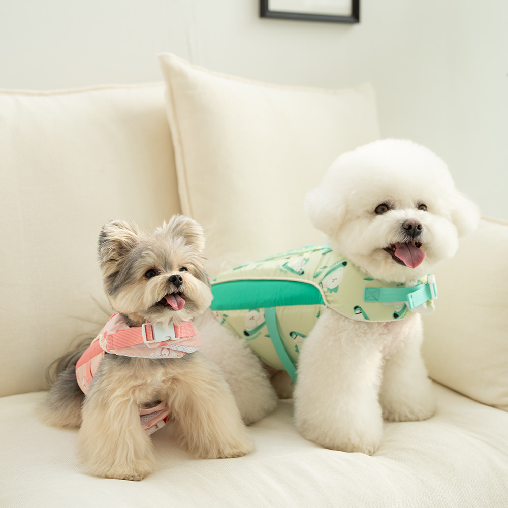 Ritogato 衝浪板寵物救生衣 Swing Heart Green Life Jacket