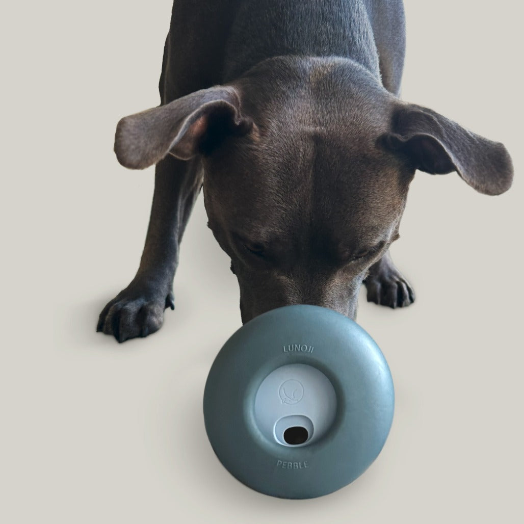 Lunoji Pebble 滾滾樂 二合一慢食漏食玩具 Pebble Slow Feeder