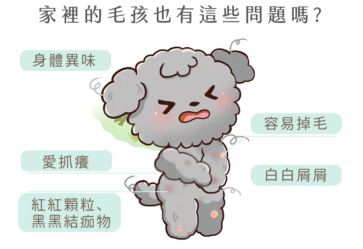 歸毛家族 【肌膚救星】救星Set 護膚噴液+精萃營養霜(修護霜)