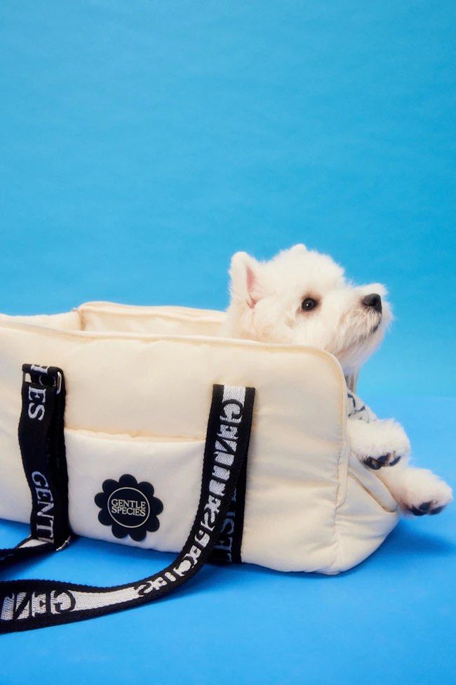 🇹🇭Gentlewoman Carry Me Please 寵物包